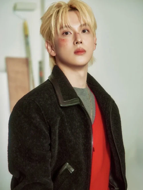 임시완